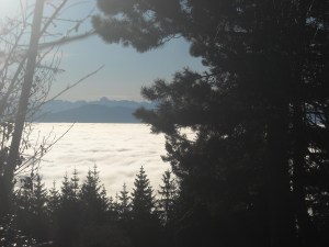 LuzernLaChevrerie 216