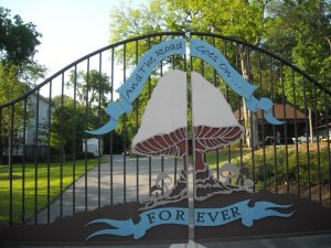 556094_3387773807765_1127802591_n