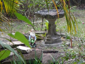 We even inherited a couple of gnomes