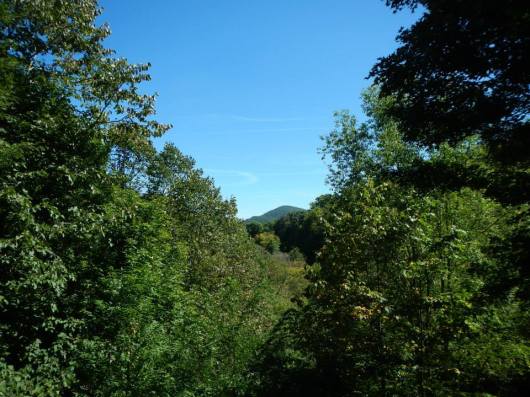 12006329_10206062201128704_1790469414196652326_n